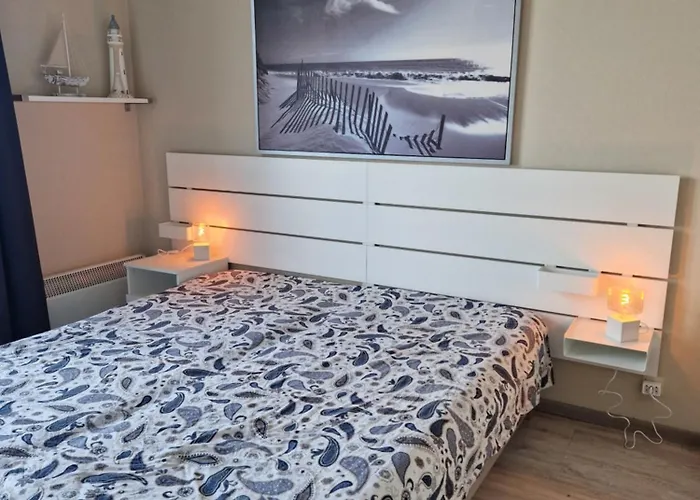 Le 1003 * ニーウポールト