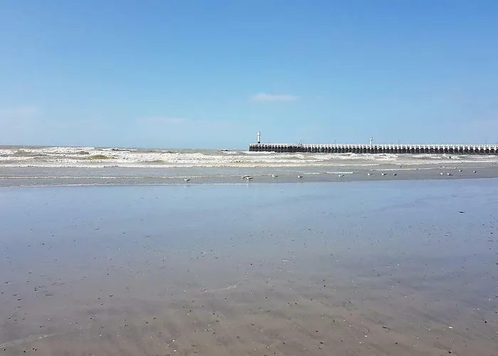 Le 1003 アパート ニーウポールト