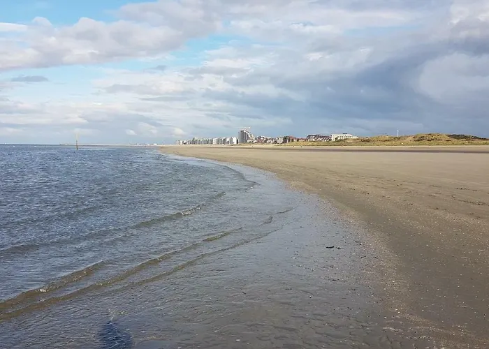 Le 1003 ニーウポールト